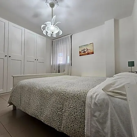 Interno 14